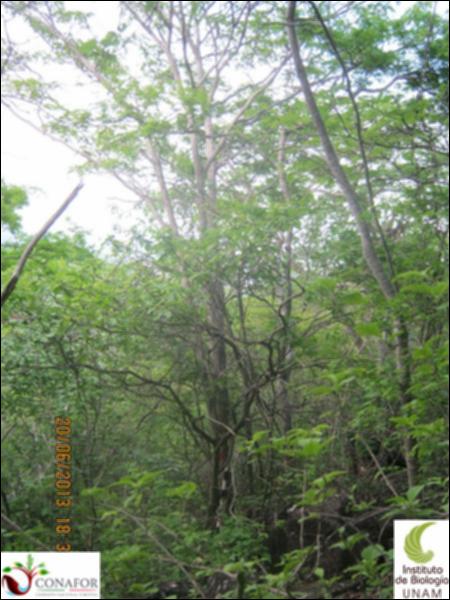 76294_S1_ARC_20130620_026_001.jpg.jpg