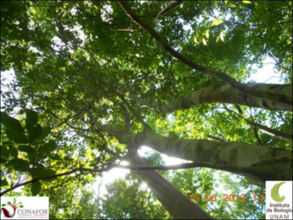 50270_S1_ARC_20130616_036_001.jpg.jpg