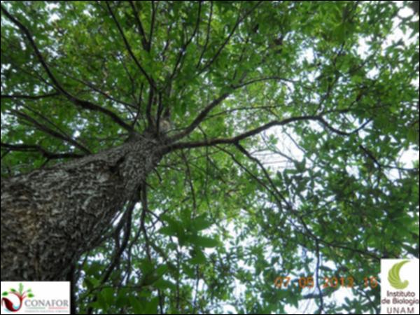 73778_S1_ARC_20130507_005_003.jpg.jpg