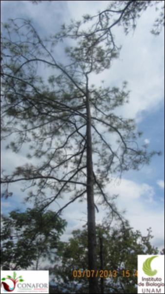 75531_S4_ARC_20130703_010_002.jpg.jpg