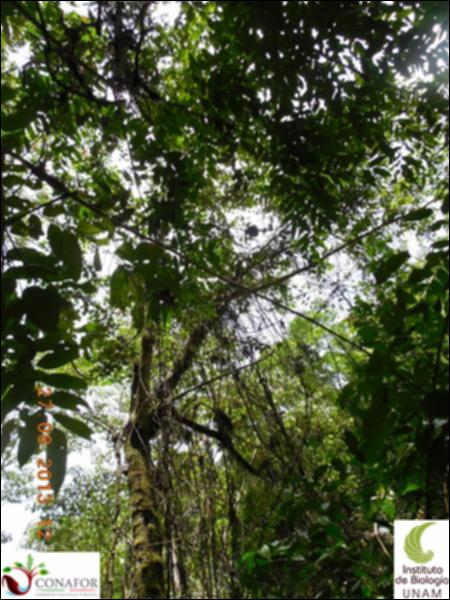 72500_S1_ARC_20130824_028_02.jpg.jpg