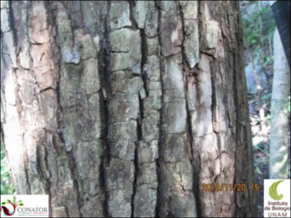 62265_S2_CRT_20131119_010.jpg.jpg