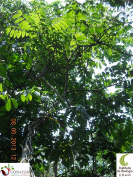 72102_S1_ARC_20130507_011_002.jpg.jpg