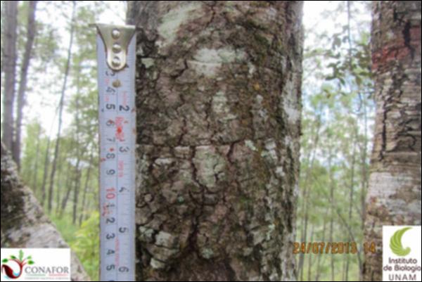74333_S1_CRT_20130724_010_001.jpg.jpg