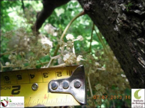 75134_S1_FLR_20130706_032_001.jpg.jpg