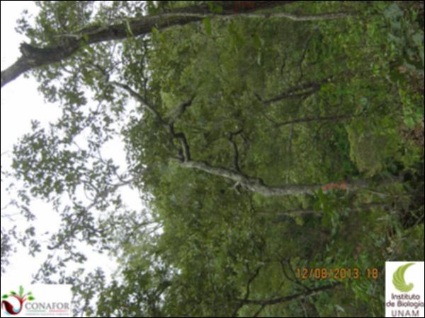 54261_S1_ARC_20130812_001.jpg.jpg
