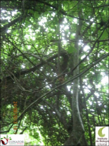75119_S2_ARC_20130824_004_002.jpg.jpg
