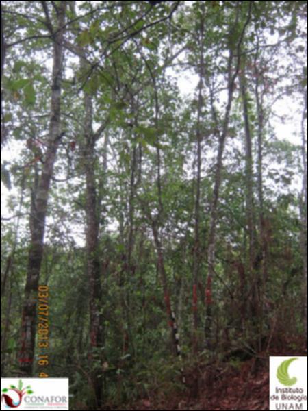 62310_S2_ARC_20130703_010.jpg.jpg