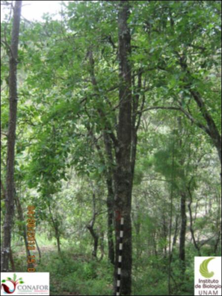 72899_S2_ARC_20130804_002_001.jpg.jpg
