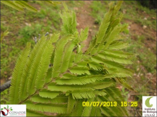64622_S1_HJ1_20130708_001.jpg.jpg
