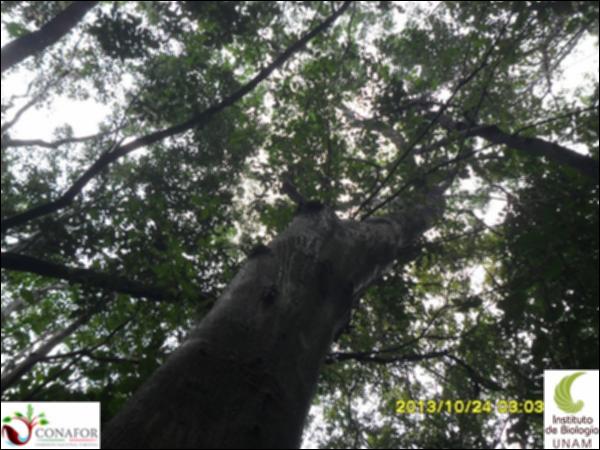 57394_S3_ARC_20131024_010_001.jpg.jpg