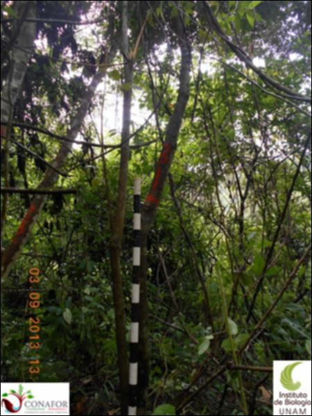 71541_S4_ARC_20130903_021_001.jpg.jpg