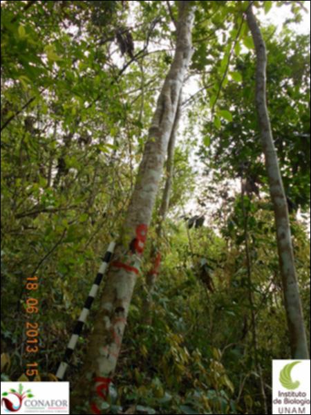 77277_S4_ARC_20130618_008_001.jpg.jpg