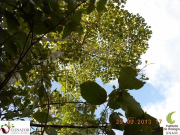 61742_S4_ARC_20130929_004_002.jpg.jpg