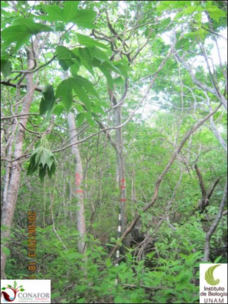 76294_S1_ARC_20130620_005_001.jpg.jpg