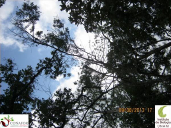 54983_S1_ARC_20130809_010.jpg.jpg