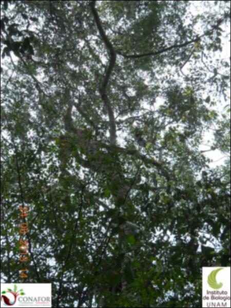 73788_S3_ARC_20130523_016_002.jpg.jpg