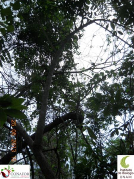 74196_S1_ARC_20130525_018_002.jpg.jpg