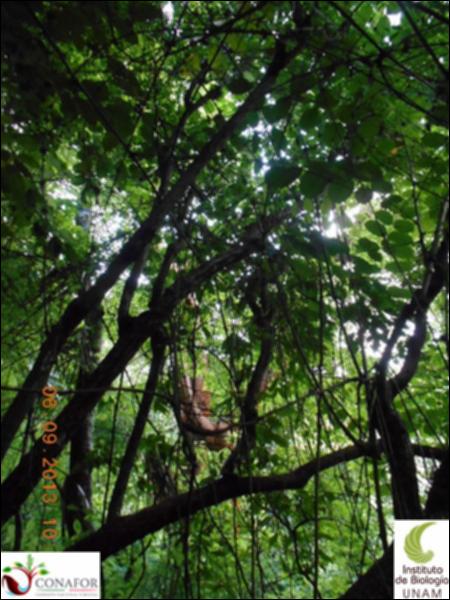 70884_S3_ARC_20130905_010_002.jpg.jpg