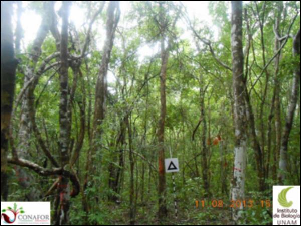61952_S1_ARC_20130810_055_001.jpg.jpg