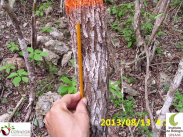 56396_S3_CRT_20130813_017_001.jpg.jpg