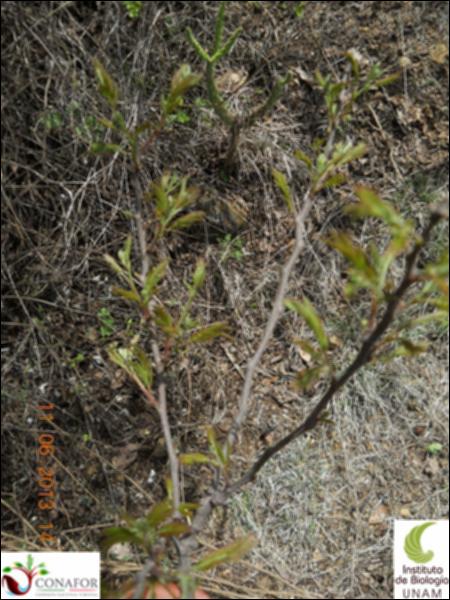 74967_S2_HJ1_20130611_001_001.jpg.jpg