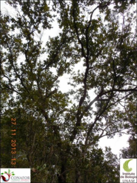 71997_S2_ARC_20131127_002_002.jpg.jpg