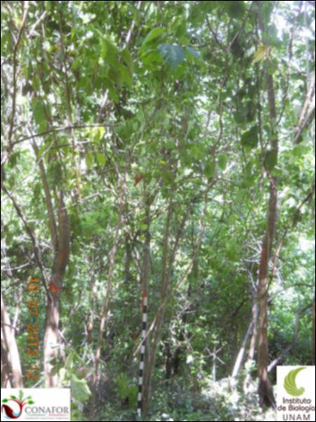 76066_S1_ARC_20130718_035_001.jpg.jpg