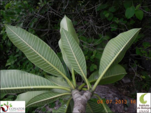 76081_S1_HJ2_20130708_004_001.jpg.jpg