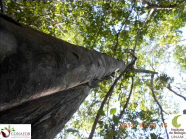 53548_S4_ARC_20131005_041_001.jpg.jpg