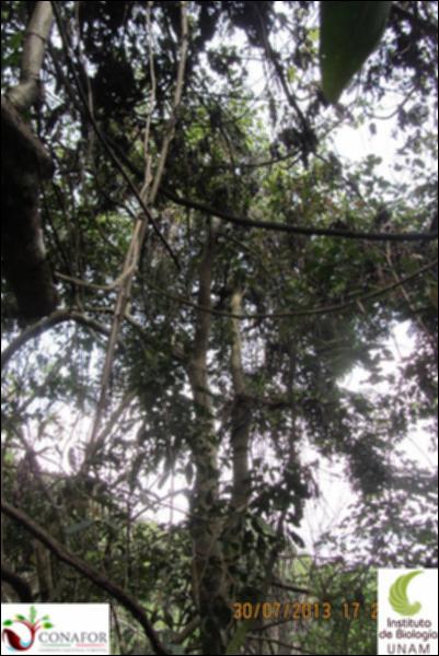 74733_S1_ARC_20130730_010_002.jpg.jpg