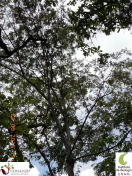 76974_S2_ARC_20130623_038_002.jpg.jpg