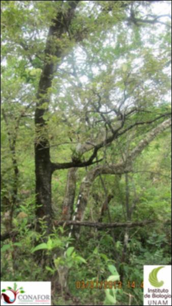 75531_S3_ARC_20130703_001_001.jpg.jpg