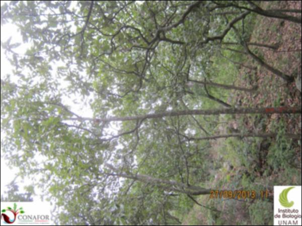 50329_S1_ARC_20130927_014.jpg.jpg