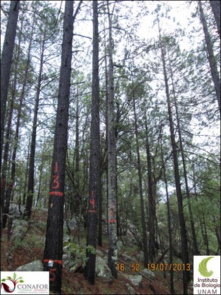 43319_S1_ARC_20130719_013.jpg.jpg