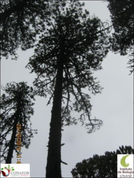 61646_S1_ARC_20131021_001_002.jpg.jpg