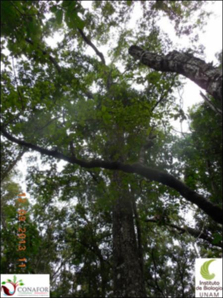 72614_S2_ARC_20130911_002_002.jpg.jpg