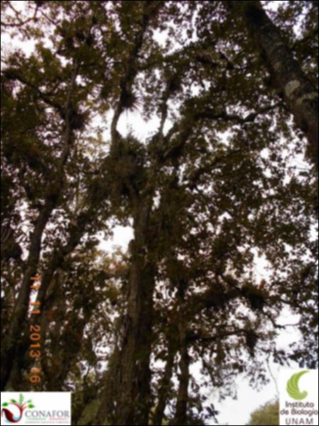 71842_S3_ARC_20131111_002_002.jpg.jpg