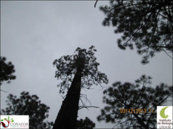 16766_S1_ARC_20131203_008.jpg.jpg