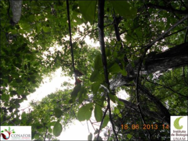 50962_S2_ARC_20130618_008_001.jpg.jpg