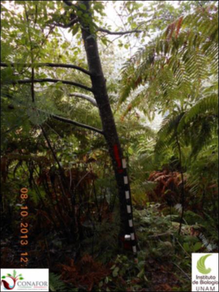 58618_S2_ARC_20131008_001_001.jpg.jpg