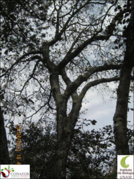 56574_S1_ARC_20130415_002_002.jpg.jpg