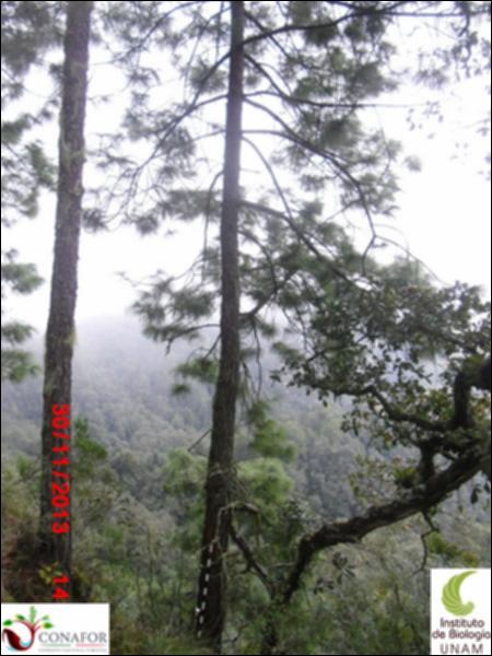 57093_S1_ARC_20131130_003_001.jpg.jpg