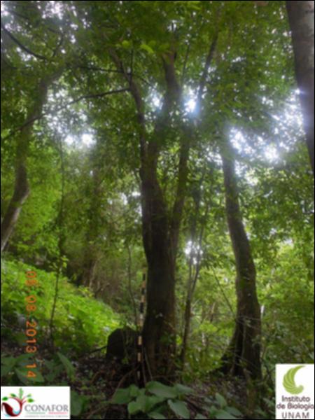 76829_S3_ARC_20130805_003_001.jpg.jpg