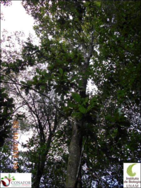 58111_S1_ARC_20131003_005_002.jpg.jpg