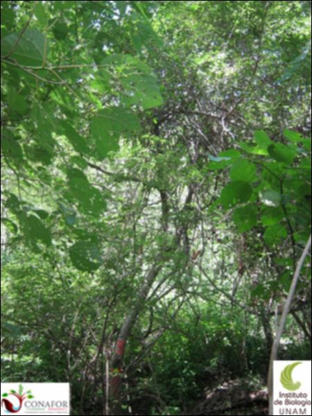 57966_S1_ARC_20130810_004.jpg.jpg