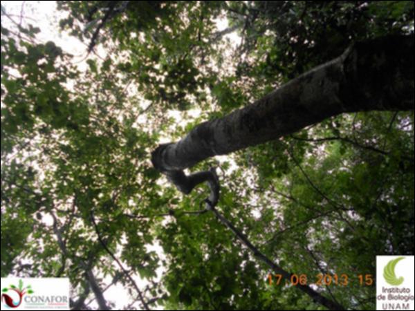 51199_S4_ARC_20130614_035_001.jpg.jpg