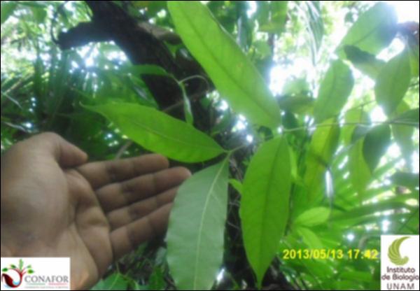 62750_S4_HJ1_20130513_041_001.jpg.jpg