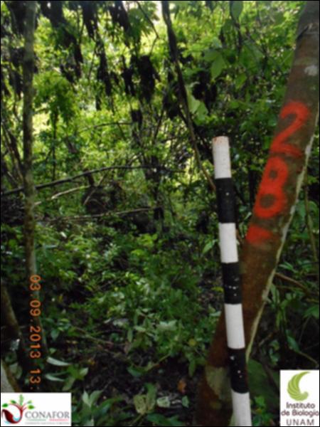 71541_S4_ARC_20130903_019_001.jpg.jpg