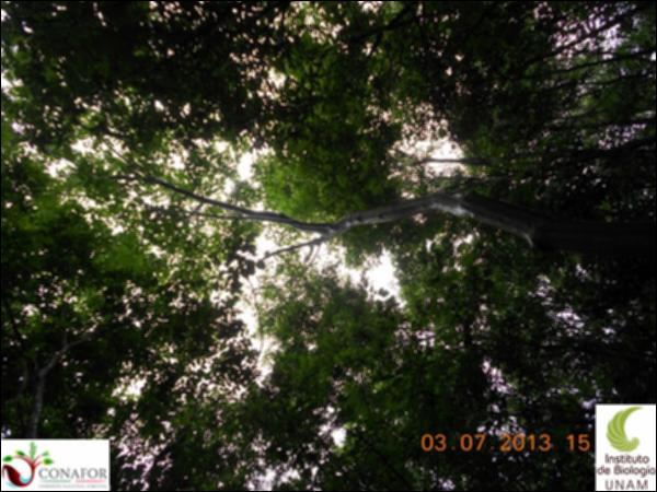 49349_S1_ARC_20130703_003_001.jpg.jpg